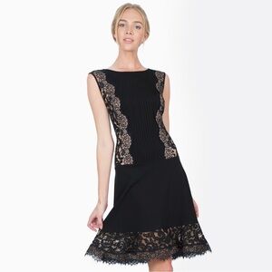 Tadashi Shoji | Pintuck Jersey Lace Panel Dress Lace Detail Black/Nude Romantic